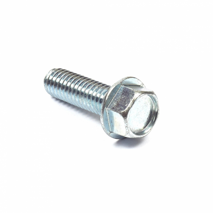 Śruba sześciokątna Wshr Hd Tap w grupie Części Zamienne / Części zamienne Briggs & Stratton w GPLSHOP (2828635SM)