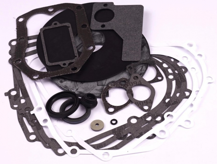 Zestaw uszczelek w grupie Części Zamienne / Części zamienne Briggs & Stratton w GPLSHOP (492653)