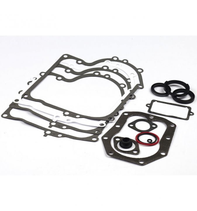 Zestaw Uszczelek 494241 w grupie Części Zamienne / Części zamienne Briggs & Stratton w GPLSHOP (494241)