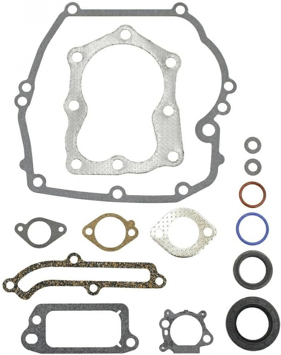 Zestaw uszczelek w grupie Części Zamienne / Części zamienne Briggs & Stratton w GPLSHOP (496117)