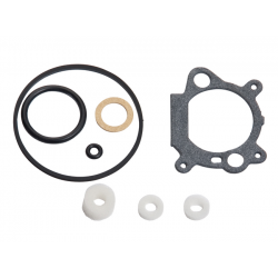 Gasket kit 498261 w grupie  w GPLSHOP (498261)