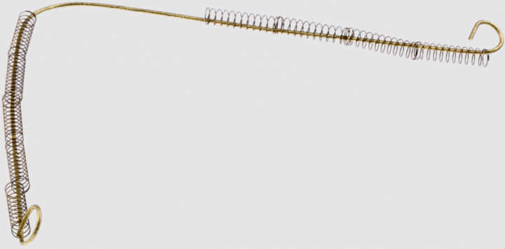 wiosna 5012225-01 w grupie  w GPLSHOP (5012225-01)