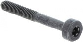 Śruba Itxscm w grupie  w GPLSHOP (5032153-65)