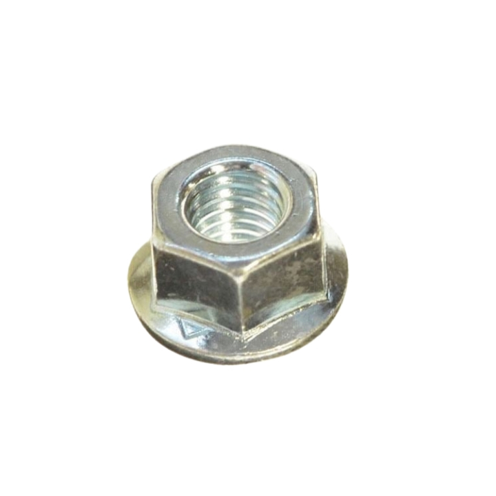 Orzech 5032201-02 w grupie w GPLSHOP (5032201-02)