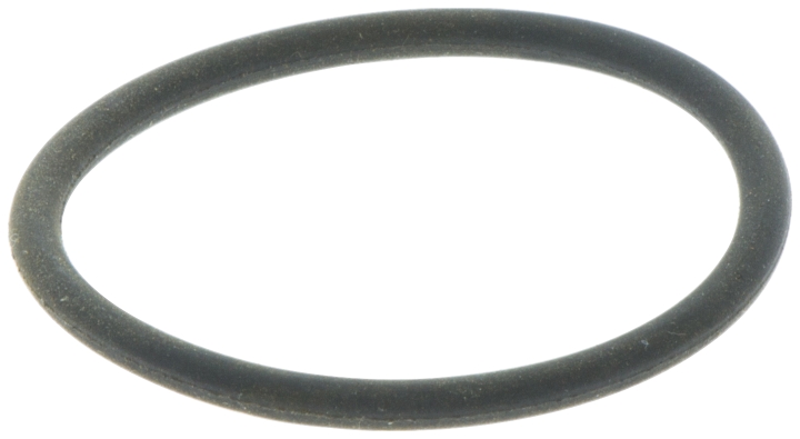 O-ring w grupie w GPLSHOP (5032630-03)
