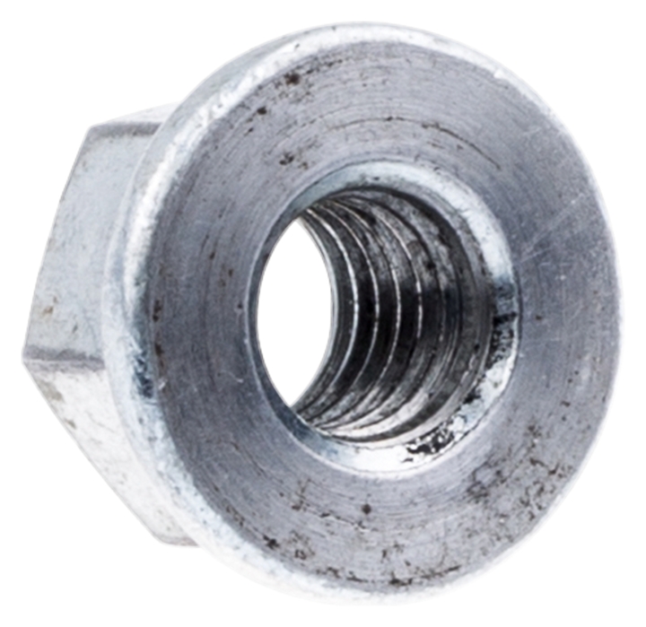 Orzech 5075208-03 w grupie w GPLSHOP (5075208-03)