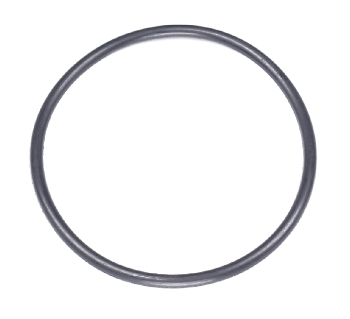 O-Ring 48,9X2,62 w grupie  w GPLSHOP (5203417-01)