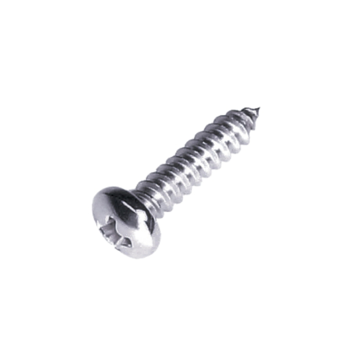 Wkręt Do Blachy 4,2X19 5204322-01 w grupie w GPLSHOP (5204322-01)