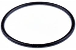 Uszczelka 700mm w grupie  w GPLSHOP (5256170-04)