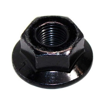 Orzech 5300157-93 w grupie  w GPLSHOP (5300157-93)