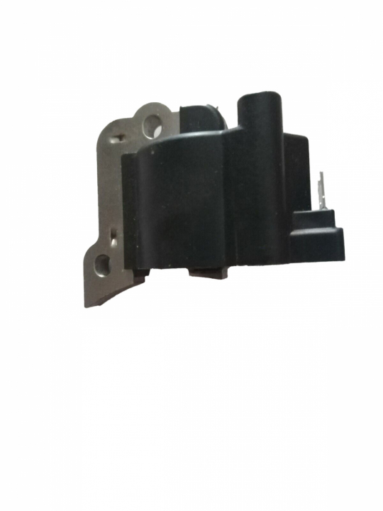 Moduł zapłonowy 5310047-31 w grupie  w GPLSHOP (5310047-31)