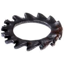 Taca 5312079-81 w grupie w GPLSHOP (5312079-81)