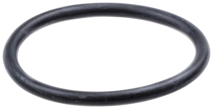 O-ring w grupie w GPLSHOP (5371250-01)