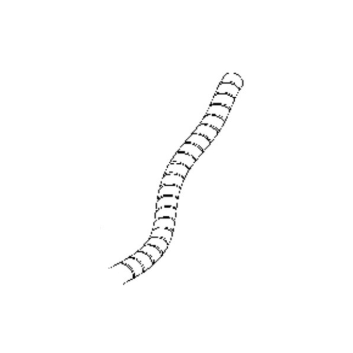 Ochrona węża w grupie Części Zamienne / Części zamienne Jonsered Kosiarki samojezdne / Części zamienne Jonsered FR 2216 MA 4x4 w GPLSHOP (5440266-07)