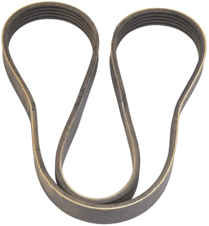 Pasek 5748900-01 w grupie w GPLSHOP (5748900-01)