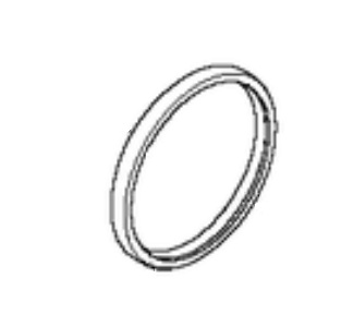 Foka w grupie  w GPLSHOP (5762338-01)