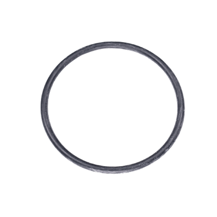 O-Ring 5787610-01 w grupie w GPLSHOP (5787610-01)