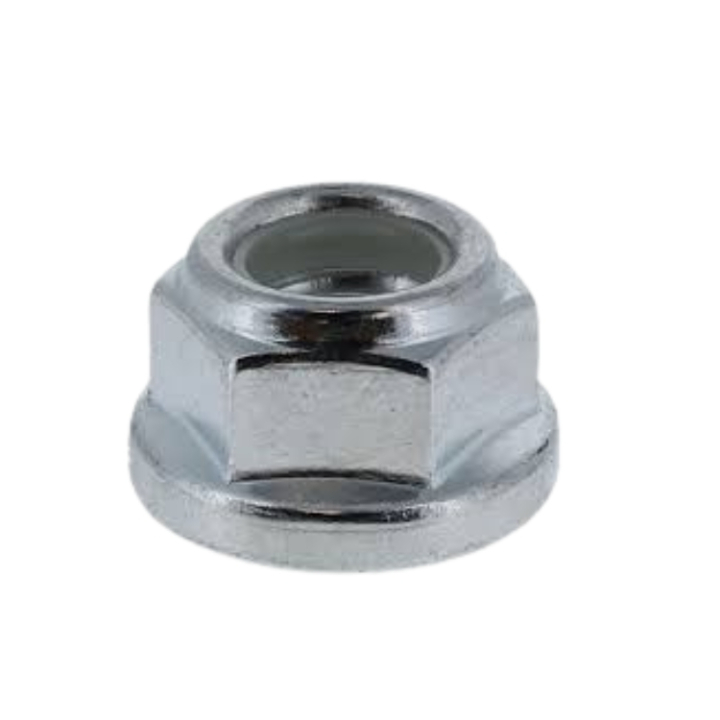 Orzech 5790764-01 w grupie  w GPLSHOP (5790764-01)