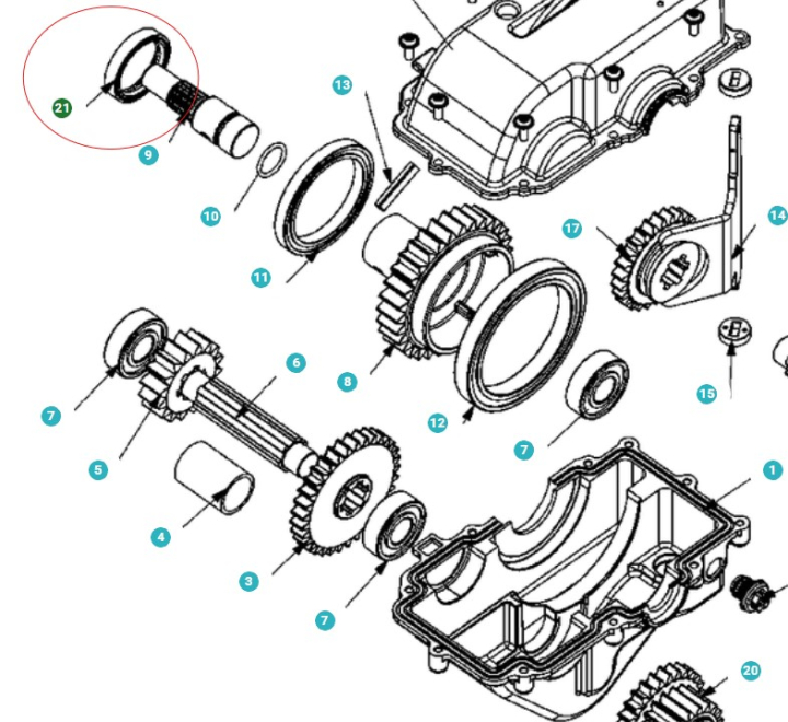 Taca 5803200-01 w grupie w GPLSHOP (5803200-01)