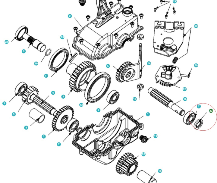 Taca 5803201-01 w grupie  w GPLSHOP (5803201-01)