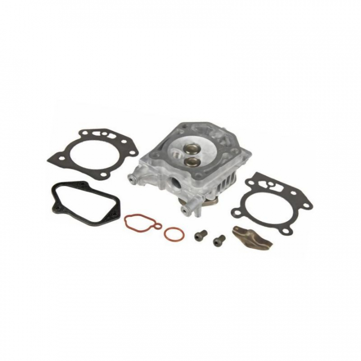 Głowica cylindra B&S 595351 w grupie Części Zamienne / Części zamienne Briggs & Stratton w GPLSHOP (5822888-06)