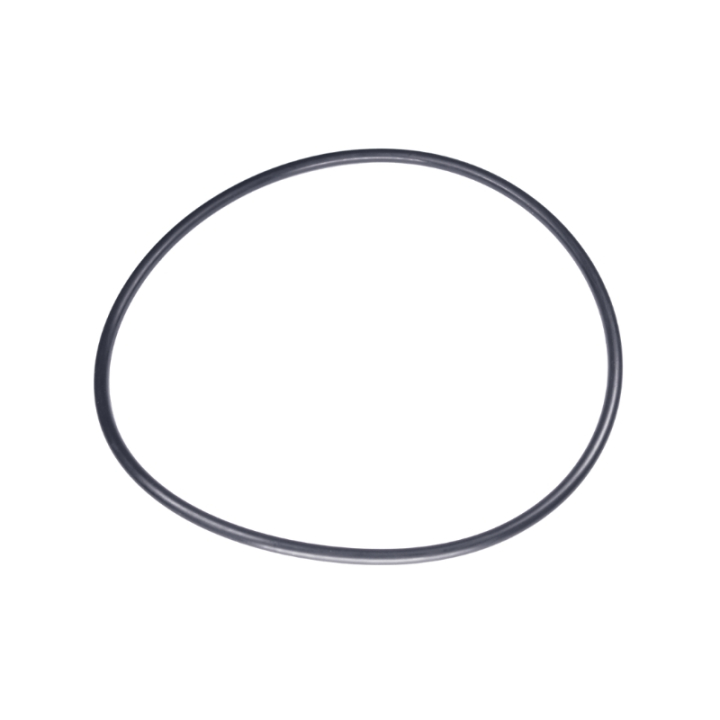 O-Ring 160X5,5 5885243-01 w grupie  w GPLSHOP (5885243-01)