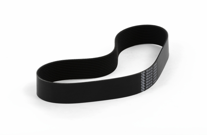 Pasek w grupie  w GPLSHOP (5887686-01)