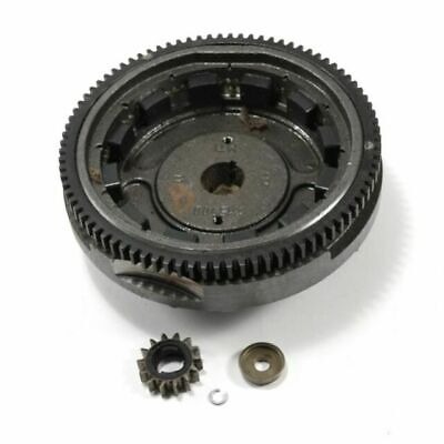 Koło zamachowe w grupie Części Zamienne / Części zamienne Briggs & Stratton w GPLSHOP (591759)