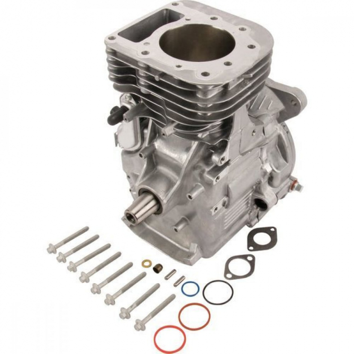 Sb Model 31 Pion w grupie Części Zamienne / Części zamienne Briggs & Stratton w GPLSHOP (592060A)