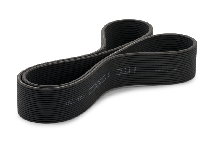 Pas pierwotny T6, 18DPK1696 w grupie w GPLSHOP (5934905-01)