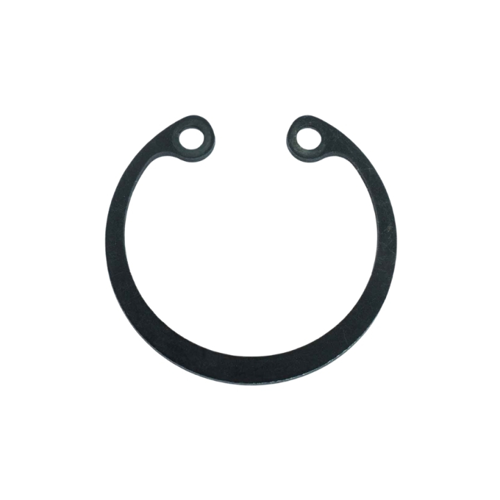 Pierścień blokujący Sgh 55 w grupie  w GPLSHOP (5985650-01)