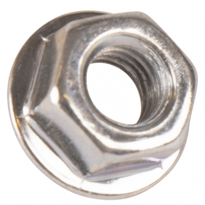 Orzech w grupie w GPLSHOP (5993493-45)