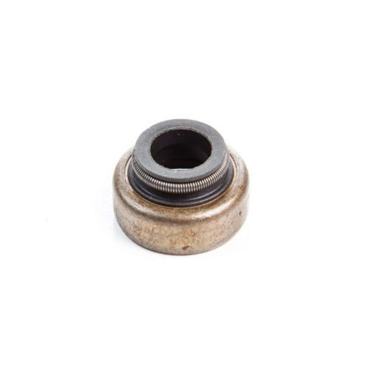 Seal 697338 w grupie Części Zamienne / Części zamienne Briggs & Stratton w GPLSHOP (697338)