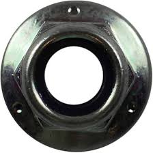 Orzech w grupie w GPLSHOP (703158)