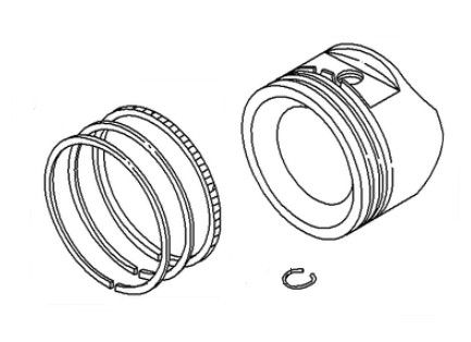  w grupie  w GPLSHOP (793560)