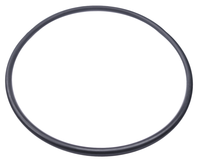 O-Ring 5204056-01