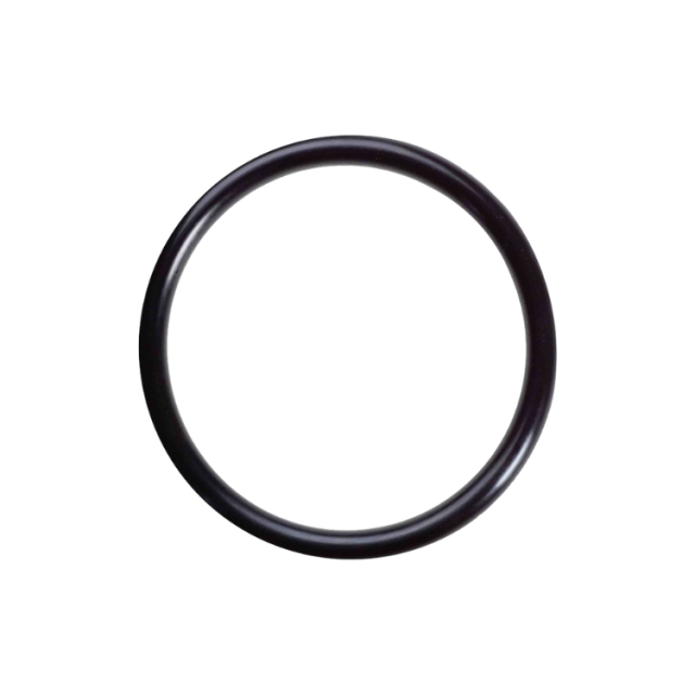 O-Ring 5444331-01
