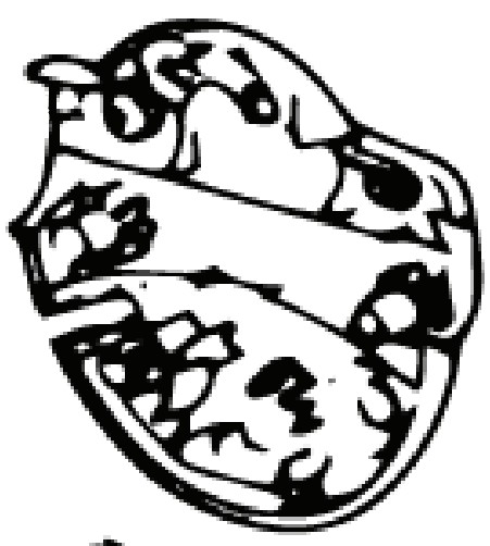 Skrzynka Rozdzielcza Dolna (Euro 5746268-01