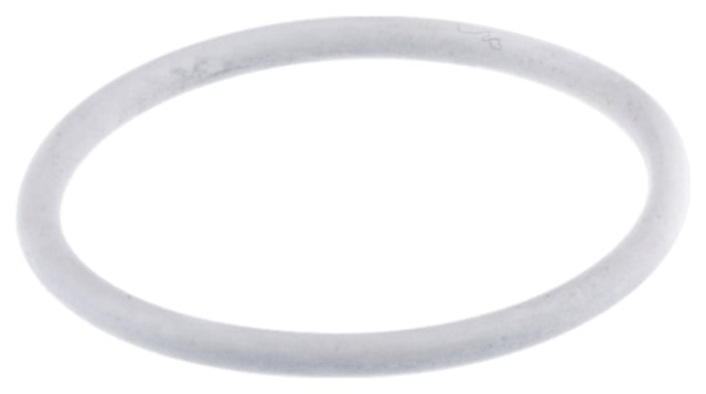 O-ring Silnik koła