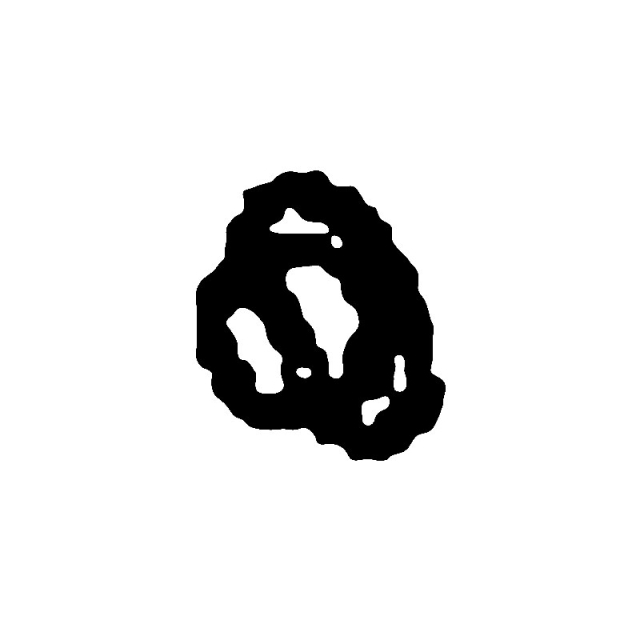 Orzech 5829352-01