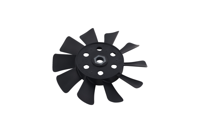 Cholera