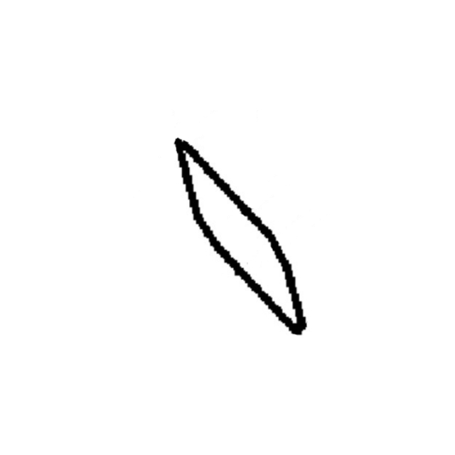 Foka 5879806-01