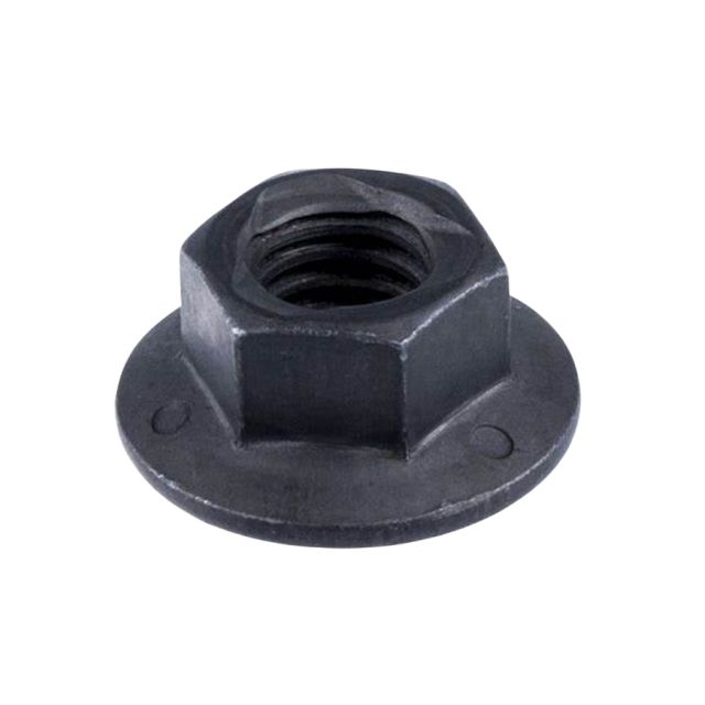 Orzech 5882529-01