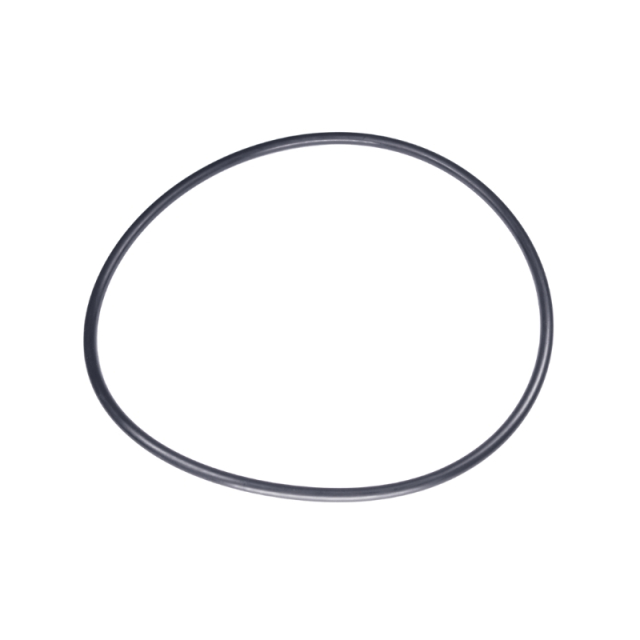 O-Ring 160X5,5 5885243-01