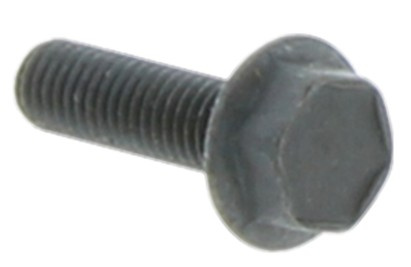 Śruba M6Sf 5X18 5032000-21