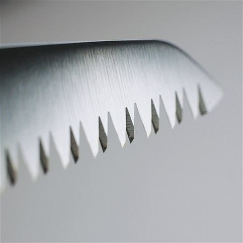 Piła do podkrzesywania z futerałem, 240mm