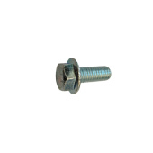 Orzech 5196534-33 Orzech 5196534-33