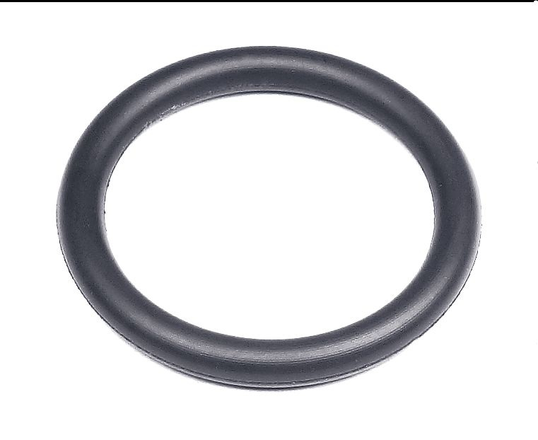 O-Ring 18,4X2,7 5203368-01