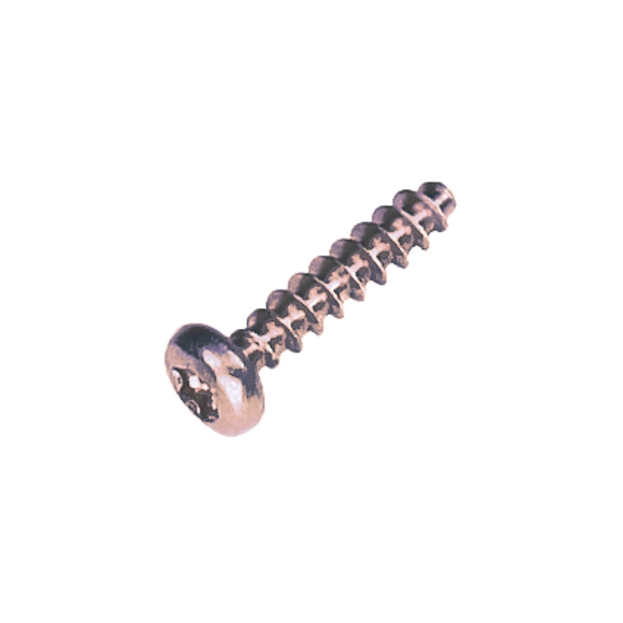 Śruba Pt 40X18 T20 5205223-01
