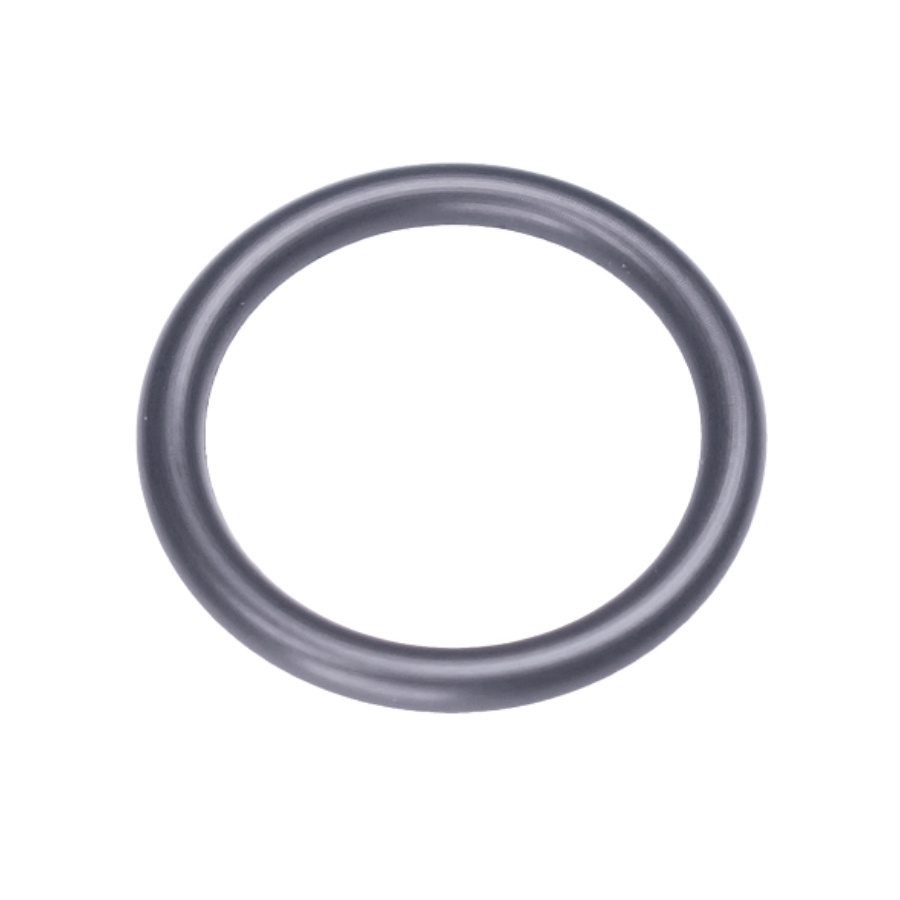 O-Ring 16,6X2,4 5237693-01